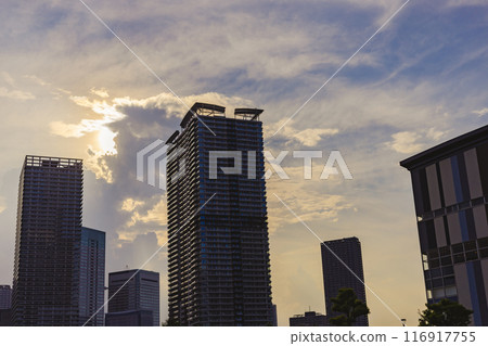 豐洲，夏日的夜晚，背光建築 116917755
