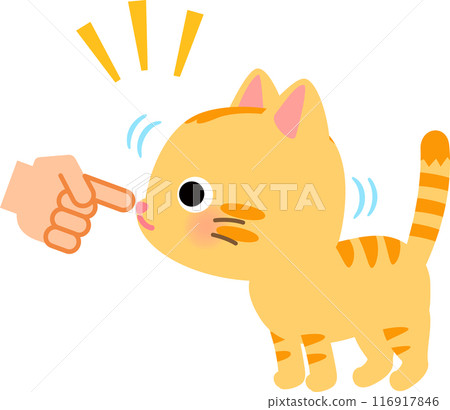 A tabby cat sniffing the fingertip offered by a person A tabby cat sniffing the fingertip offered by a person 116917846