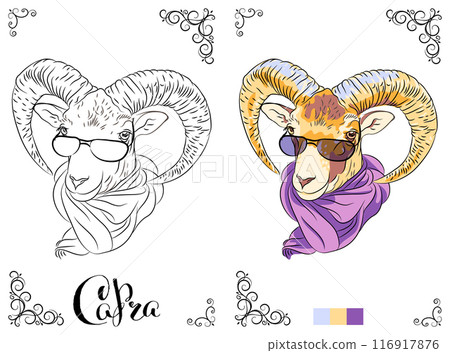 Coloring Book page Capra with Sunglasses 116917876