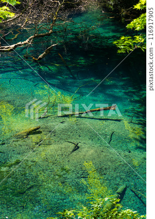 World Natural Heritage Site: Early Summer in the Shirakami Mountains: Fresh Greenery at Juniko Lake and Futsubo Pond 116917905