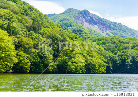 世界自然遺產:初夏的白神山地、綠意盎然的十二湖、酮葉池 世界自然遺產:初夏的白神山地、綠意盎然的十二湖、酮葉池 116918021