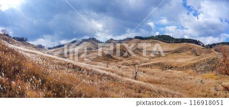 Autumn panoramic view of Tomine Plateau against the blue sky 116918051
