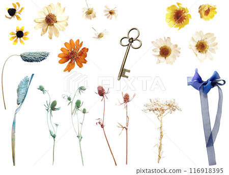 剪紙材料組 - 乾燥花 7 朵（花環裝飾 2 朵） 116918395