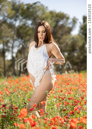 Sexy girl in white cambric summer dress stands among blooming poppies 116918520