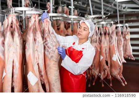 Female slaughterhouse worker inspecting mutton carcass in meat storage 116918590