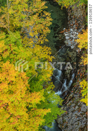 A spectacular view of the Nakatsugawa Valley in autumn colors A spectacular view of the Nakatsugawa Valley in autumn colors 116918657