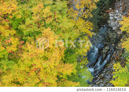 A spectacular view of the Nakatsugawa Valley in autumn colors A spectacular view of the Nakatsugawa Valley in autumn colors 116918658