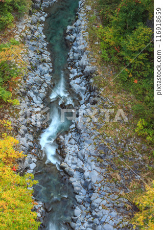 A spectacular view of the Nakatsugawa Valley in autumn colors A spectacular view of the Nakatsugawa Valley in autumn colors 116918659