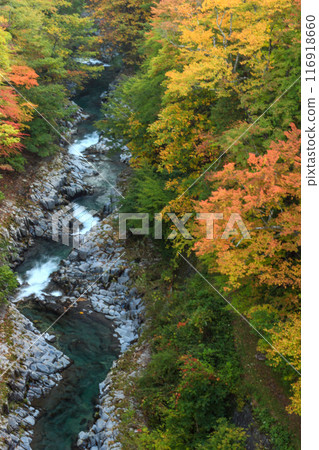 A spectacular view of the Nakatsugawa Valley in autumn colors A spectacular view of the Nakatsugawa Valley in autumn colors 116918660