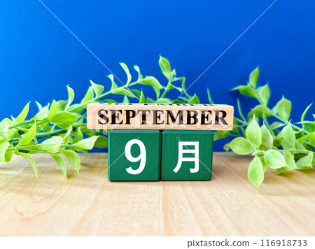 九月背景圖片 116918733