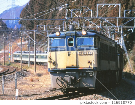 從碓冰峠下行的特快淺間號 116918770