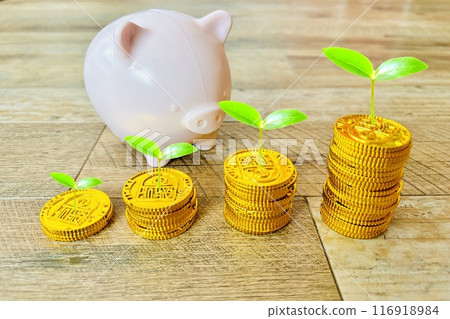 The image of money growing and assets accumulating The image of money growing and assets accumulating 116918984