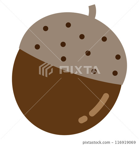 橡子矢量插畫 116919069