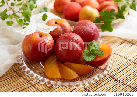 Summer Angel Plum (2) 116919205