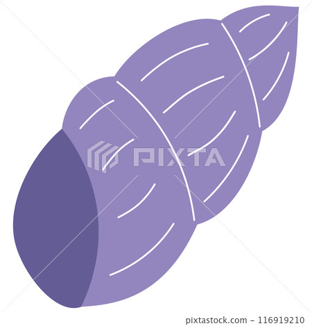 Simple seashell illustration 116919210
