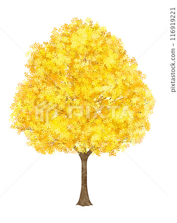 Tree with yellow leaves 116919221