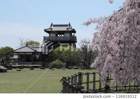 Sakura / Ikeda Castle Ruins Park 116919312