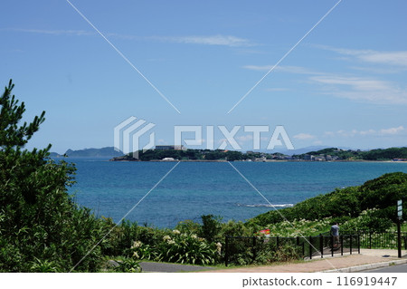 The natural habitat of Crinum umbellata at Natsuigahama Beach and the sea of Hibiki-nada 116919447
