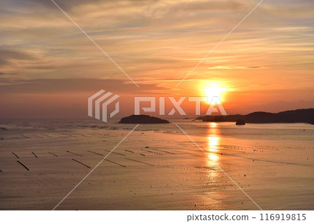 Oyster shelves line the sea at sunrise Oyster shelves line the sea at sunrise 116919815