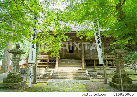 The main hall of Yokozoji Temple, the first temple of the 33 Western Mino Pilgrimage Sites, in Ibigawa Town, Gifu Prefecture, is covered in fresh greenery. 116920060