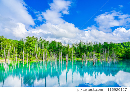 北海道美瑛町的藍塘 116920127