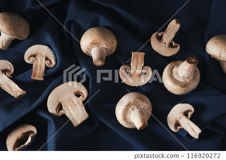 Mushrooms, concept of autumn food, autumn harvest Mushrooms, concept of autumn food, autumn harvest 116920272