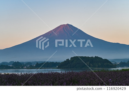 Mt. Fuji before dawn Mt. Fuji before dawn 116920429
