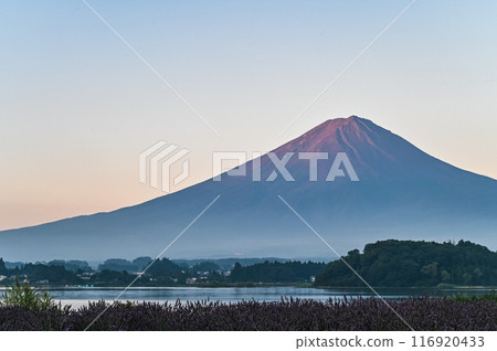 Mt. Fuji before dawn 116920433