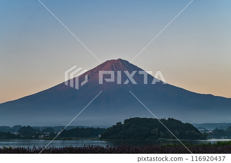 黎明前富士山 116920437