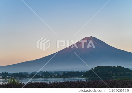 Mt. Fuji before dawn Mt. Fuji before dawn 116920439