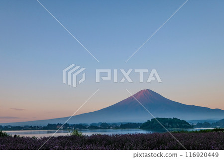 Mt. Fuji before dawn 116920449