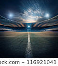 stadium, arena, sports facility, stands, field, track, turf, watch a game, outdoor stadium, indoor stadium, main stadium, Olympic stadium, football stadium, baseball stadium, athletics stadium, rugby  116921041
