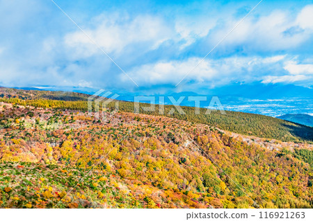 福島足立山染紅葉 116921263