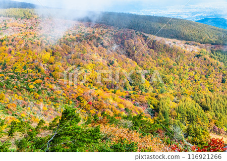 福島足立山染紅葉 福島足立山染紅葉 116921266
