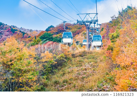 Fukushima: Mt. Adatara dyed in autumn leaves Fukushima: Mt. Adatara dyed in autumn leaves 116921323