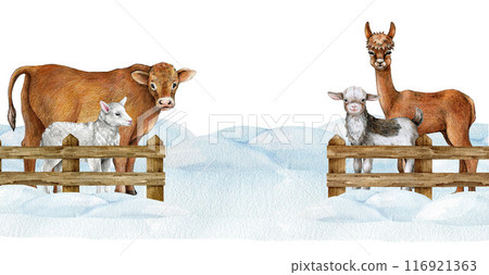 Winter time farm animals on the snowy ground behind wooden fence. Vintage style illustration. Hand drawn cow, sheep, goat standing behind border. Farm animals winter cold season countryside image 116921363