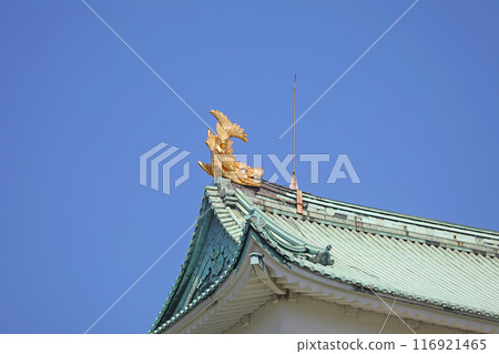 名古屋城天守閣的金鯱 名古屋城天守閣的金鯱 116921465