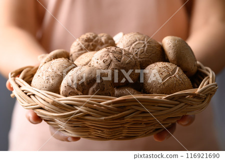Fresh shiitake mushroom in basket holding by hand Fresh shiitake mushroom in basket holding by hand 116921690