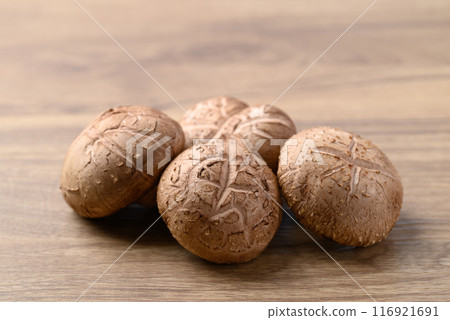 Fresh shiitake mushroom on wooden background, edible mushroom and food ingredient in Asian cuisine Fresh shiitake mushroom on wooden background, edible mushroom and food ingredient in Asian cuisine 116921691