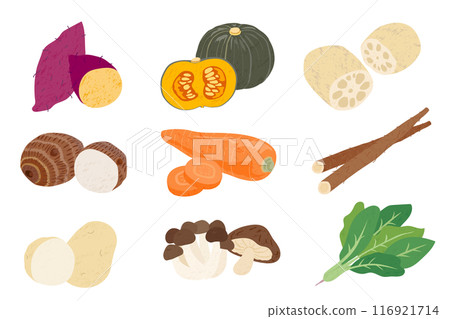 Set of hand-drawn illustrations of autumn vegetables 116921714