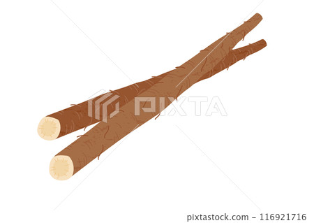 牛蒡手繪風格插畫 116921716