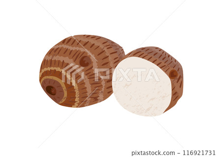 芋頭手繪風格插畫 116921731