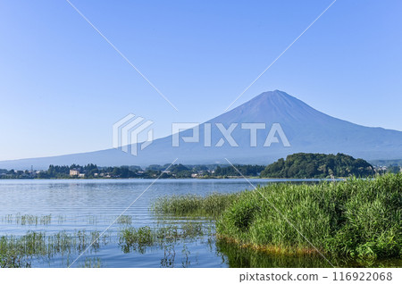 Lake Kawaguchi and Mount Fuji in Yamanashi Prefecture Lake Kawaguchi and Mount Fuji in Yamanashi Prefecture 116922068