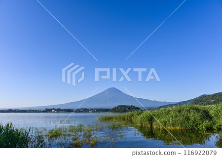 Lake Kawaguchi and Mount Fuji in Yamanashi Prefecture Lake Kawaguchi and Mount Fuji in Yamanashi Prefecture 116922079