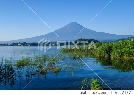 Lake Kawaguchi and Mount Fuji in Yamanashi Prefecture Lake Kawaguchi and Mount Fuji in Yamanashi Prefecture 116922127