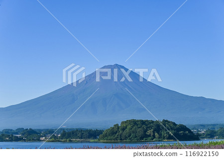 山梨縣河口湖和富士山 116922150