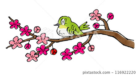 White-eye perching on a plum branch White-eye perching on a plum branch 116922220