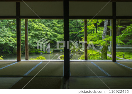 蓮華寺相框庭園的新綠（京都市左京區上河野） 116922455