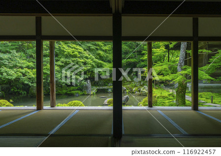 蓮華寺相框庭園的新綠（京都市左京區上河野） 116922457
