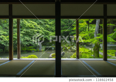 蓮華寺相框庭園的新綠（京都市左京區上河野） 116922458